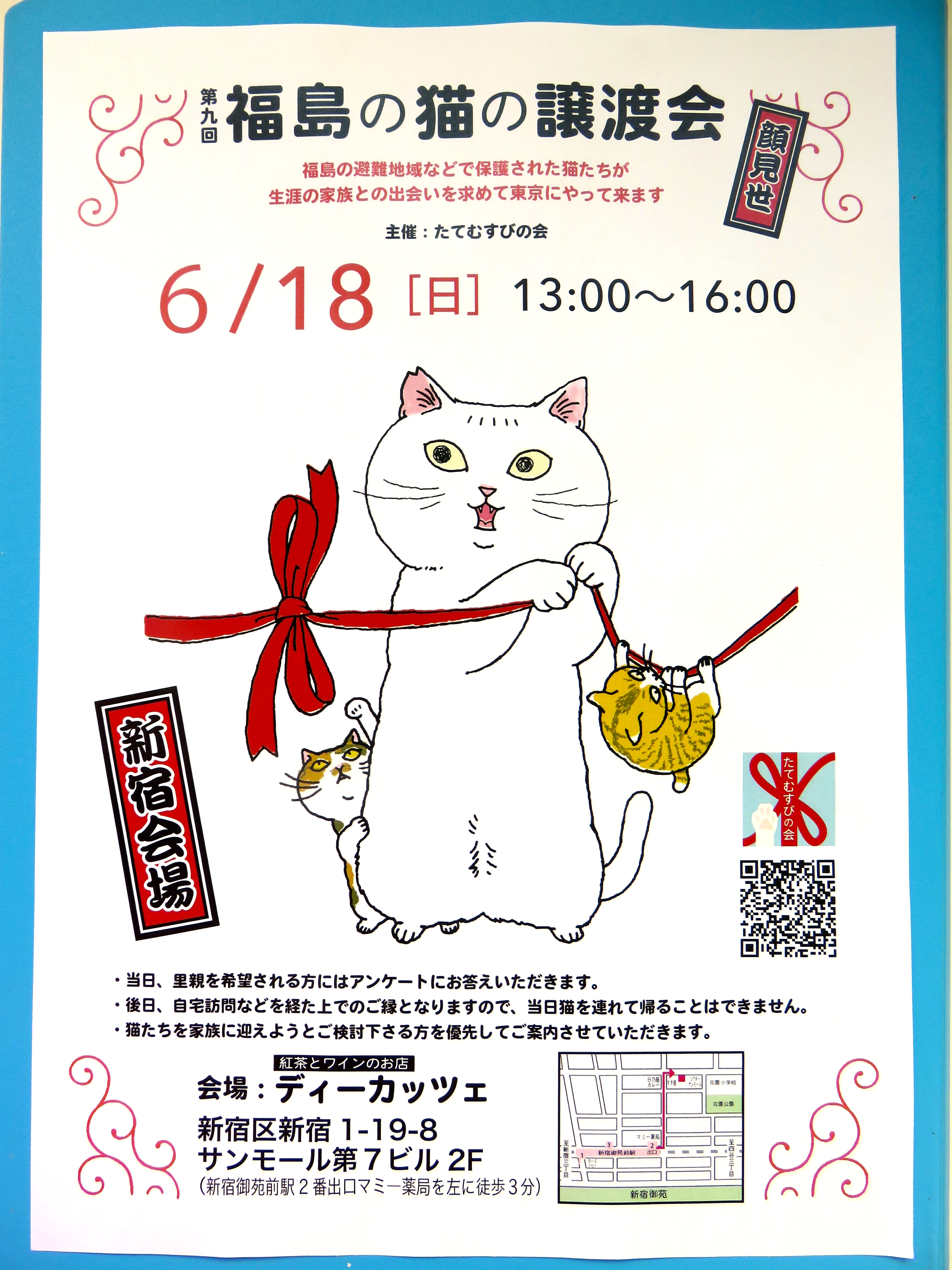 譲渡会 - 千葉県船橋市宮本のくわじま動物病院です。犬、猫